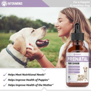 Dog Prenatal Vitamins | Prenatal Vitamins for Dogs | Includes Vitamin B Complex & Vitamin C | Dog Essentials | Whelping Supplies | Prenatal Dog Vitamins | Prenatal for Dogs | 1 Pack: 30 Servings