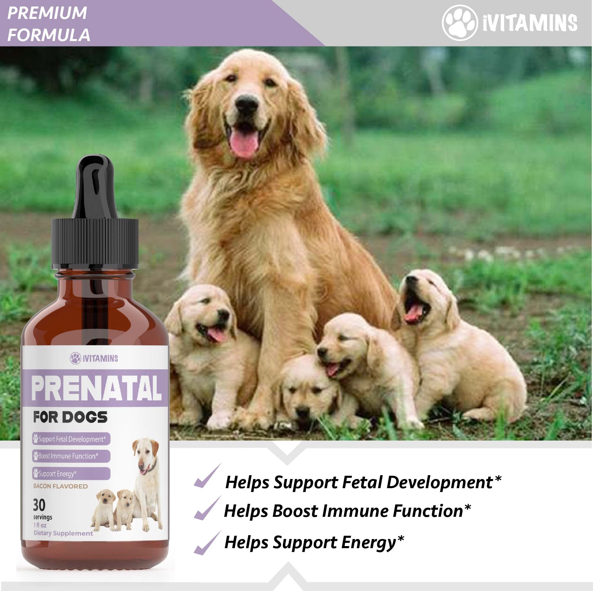 Dog Prenatal Vitamins | Prenatal Vitamins for Dogs | Includes Vitamin B Complex & Vitamin C | Dog Essentials | Whelping Supplies | Prenatal Dog Vitamins | Prenatal for Dogs | 1 Pack: 30 Servings