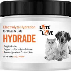 HydrADE Powder - Electrolytes for Dog & Cat Dehydration - Hydration for Dogs & Cats - Lots of Love Pet Products (8 Oz)