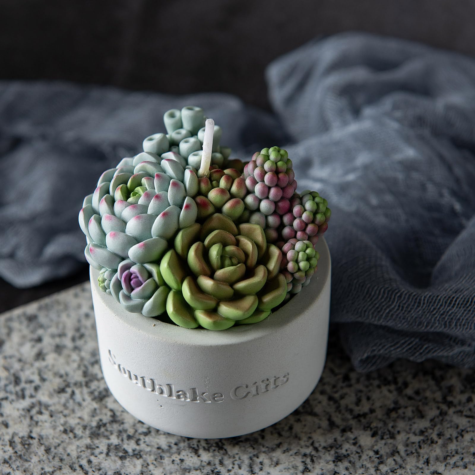 Assorted Succulent Pot Scented Candle for Spa Home Decoration Wedding Gift