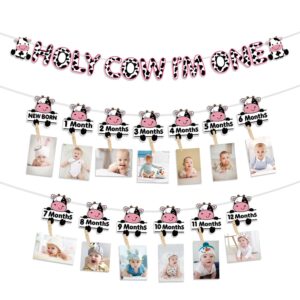 cow 1st birthday decorations, include holy cow i'm one banner, cow monthly photo banner, farm animals cow first birthday party decorations for girls first birthday party supplies