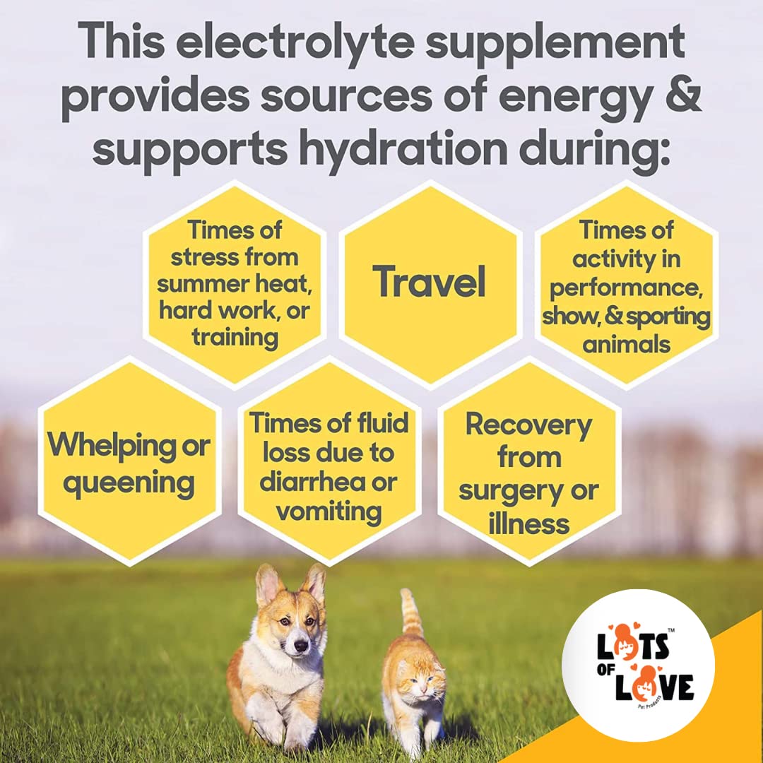 HydrADE Powder - Electrolytes for Dog & Cat Dehydration - Hydration for Dogs & Cats - Lots of Love Pet Products (8 Oz)