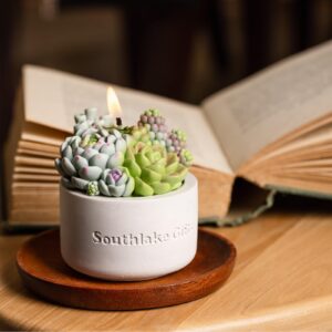 Assorted Succulent Pot Scented Candle for Spa Home Decoration Wedding Gift