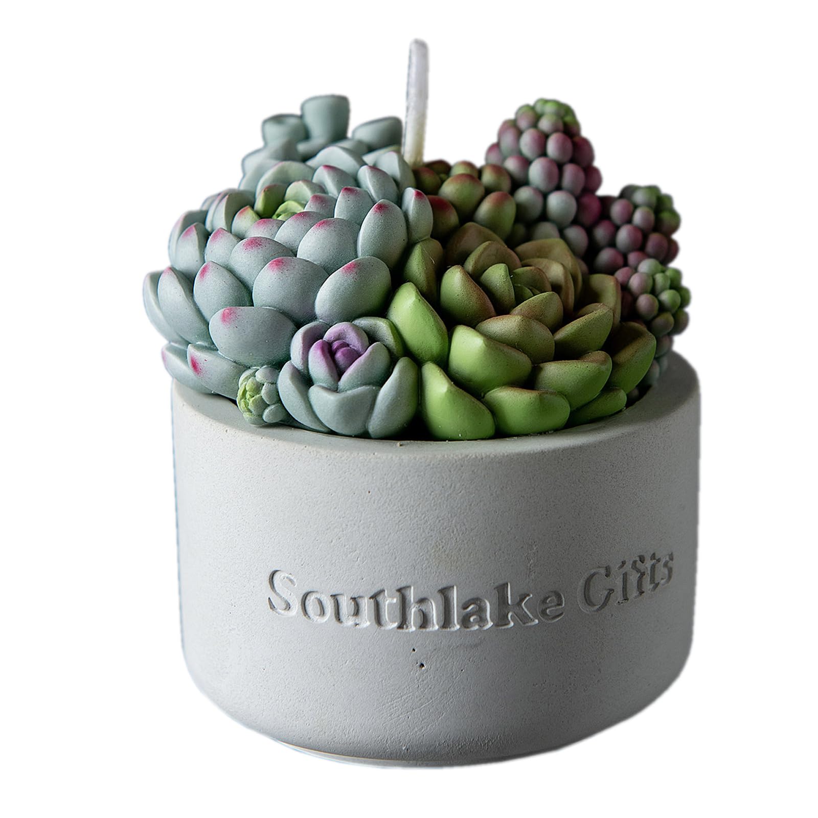 Assorted Succulent Pot Scented Candle for Spa Home Decoration Wedding Gift