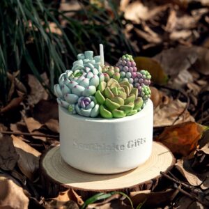 Assorted Succulent Pot Scented Candle for Spa Home Decoration Wedding Gift