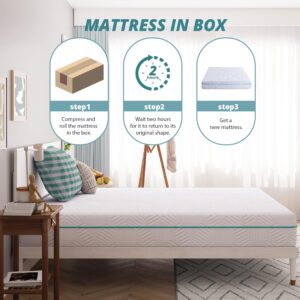 Dyonery 10 Inch Twin Memory Foam Mattress,Gel Charcoal Fiberglass Free Mattress Bed in a Box, CertiPUR-US Certified, Made in USA, Kids Mattress for Bunk Bed, 38"×75", Medium