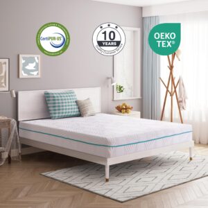 Dyonery 10 Inch Queen Memory Foam Mattress,Gel Charcoal Fiberglass Free Mattress Bed in a Box, CertiPUR-US Certified, Made in USA, Double Mattress, 60"×80", Medium