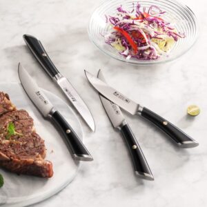 Cangshan ELBERT Series German Steel Forged 4-Piece Fine-Edge Steak Knife Set (Black)