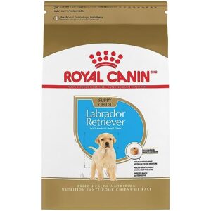 Royal Canin RCBHN Lab Puppy & Large Puppy Wet Dog Food