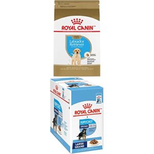 royal canin rcbhn lab puppy & large puppy wet dog food