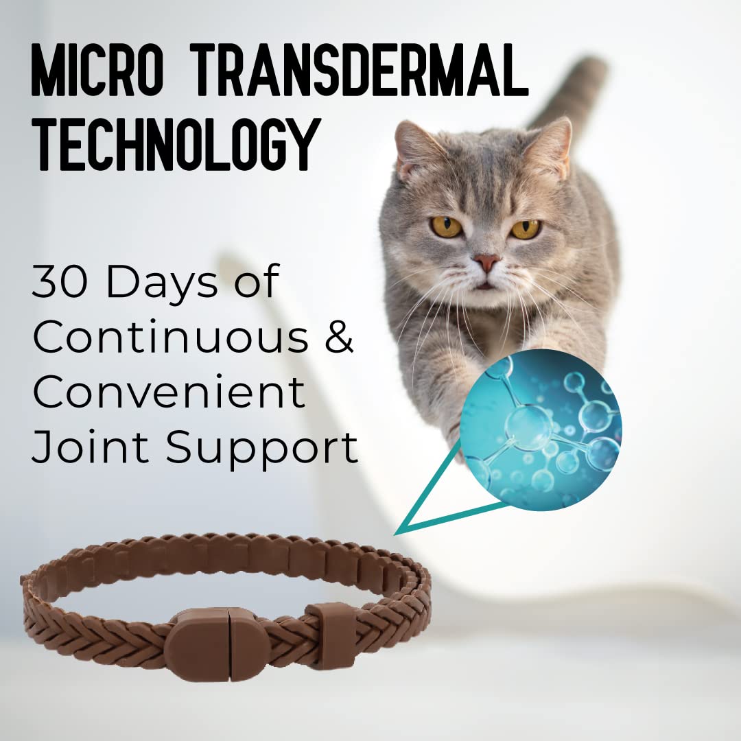 ACTIVPHY Hip + Joint Mobility Collar for Cats with Glucosamine, Chondroitin, MSM, and More | Convenient & Easy | 30 Days of Continuous Support | Water Resistant, Adjustable