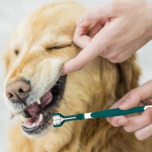 Dog Toothbrush, Triple Headed Toothbrush Dog Toothbrush for Pet ...