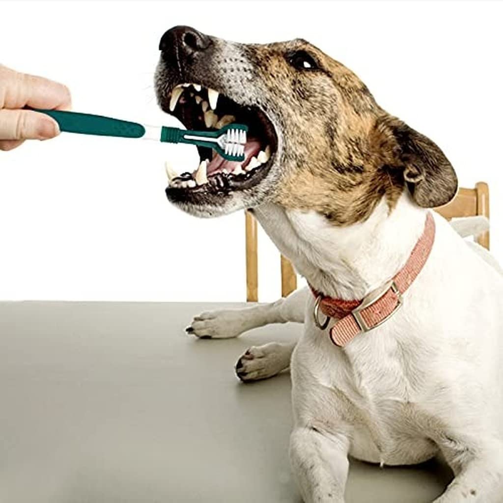 Dog Toothbrush, Triple Headed Toothbrush Dog Toothbrush for Pet ...