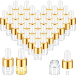 didaey 100 pcs mini glass dropper bottle bulk clear essential oil dropper bottles small tincture bottles with dropper sample containers perfume liquid vials with cap for traveling(1 ml,gold)