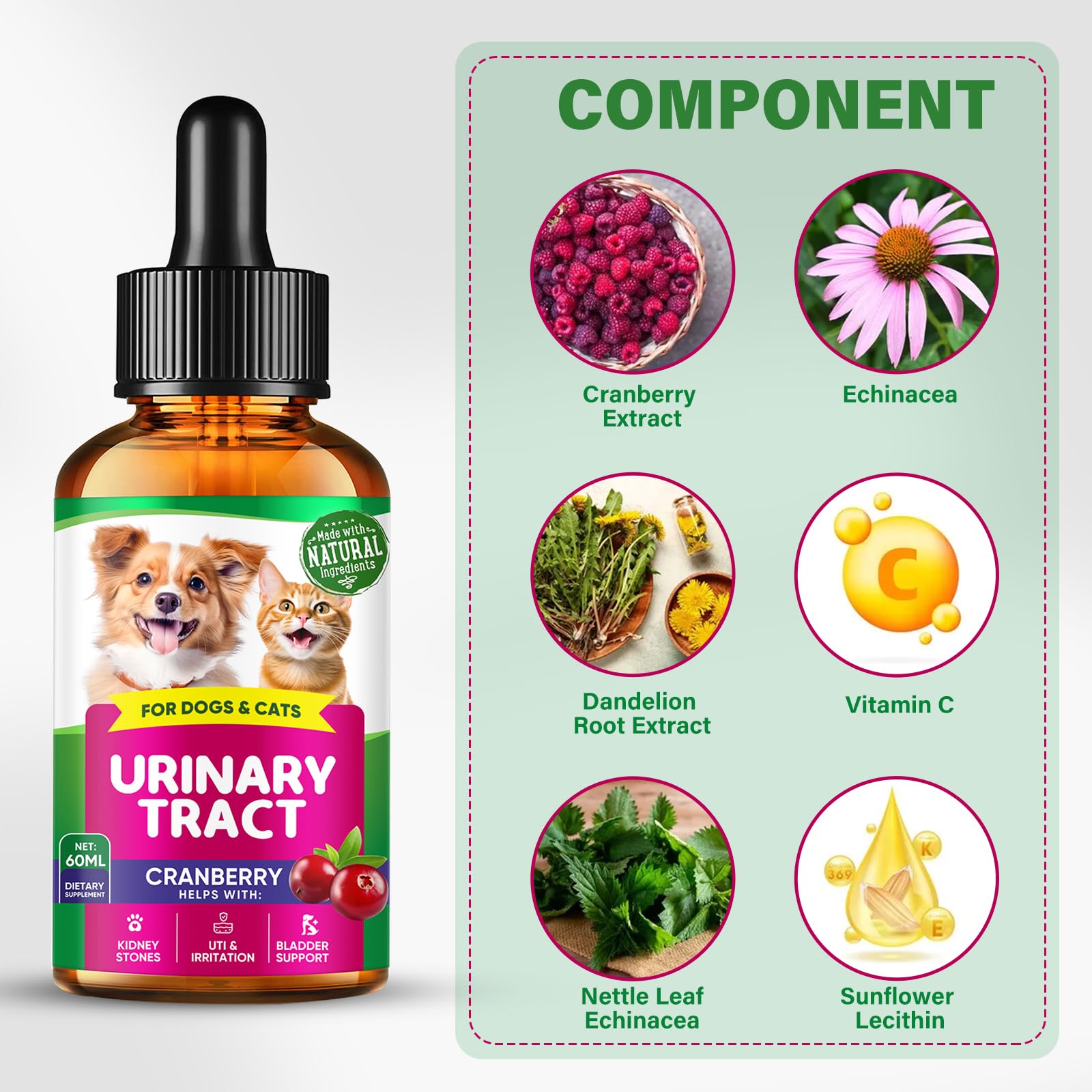 Urinary Tract Infection Treatment Drops for Dogs, UTI Treatment with Cranberry-Kidney for Pet Renal Health, Prevent Incontinence & Bladder Stones