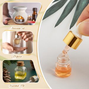 Didaey 100 Pcs Mini Glass Dropper Bottle Bulk Clear Essential Oil Dropper Bottles Small Tincture Bottles with Dropper Sample Containers Perfume Liquid Vials with Cap for Traveling(1 ml,Gold)