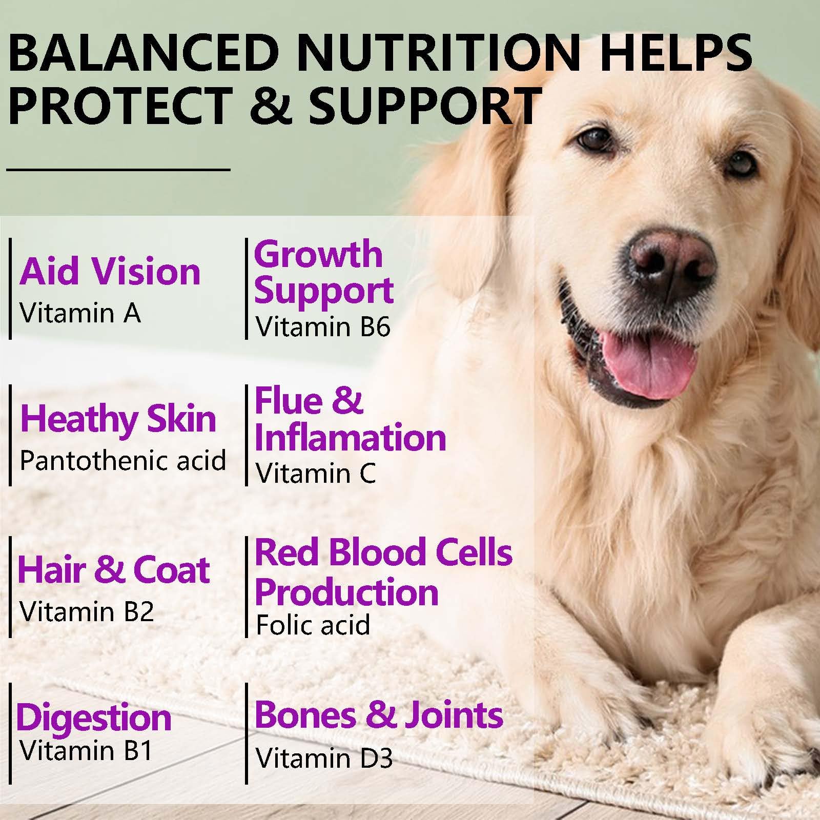 15-in-1 Dog Multivitamin Supplements with Glucosamine & Probiotics，Natural Daily Vitamins Chews for Dogs,Pet Health Support-Skin-Immunity-Gut Digestion-Joint-Heart,150 Pcs-Duck Flavor