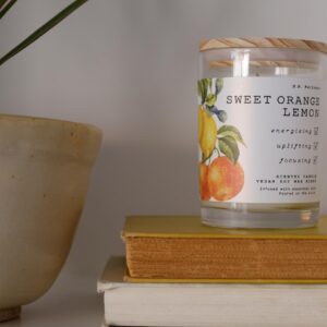 Leoben Company | B.B. Wellness | Hand Poured Soy Wax | Made in Small Batches | 40 Hours | 9 oz | Infused with Natural Essential Oils | Vegan (Sweet Orange Lemon)