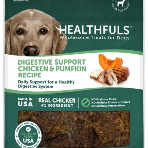 HEALTHFULS Heathfuls Digestive Support - Chicken and Pumpkin Recipe