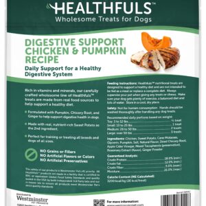 HEALTHFULS Heathfuls Digestive Support - Chicken and Pumpkin Recipe