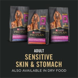 Purina Pro Plan Sensitive Skin and Stomach Dog Food Classic Pate Turkey and Oat Meal Entrée - (Pack of 12) 13 oz. Cans