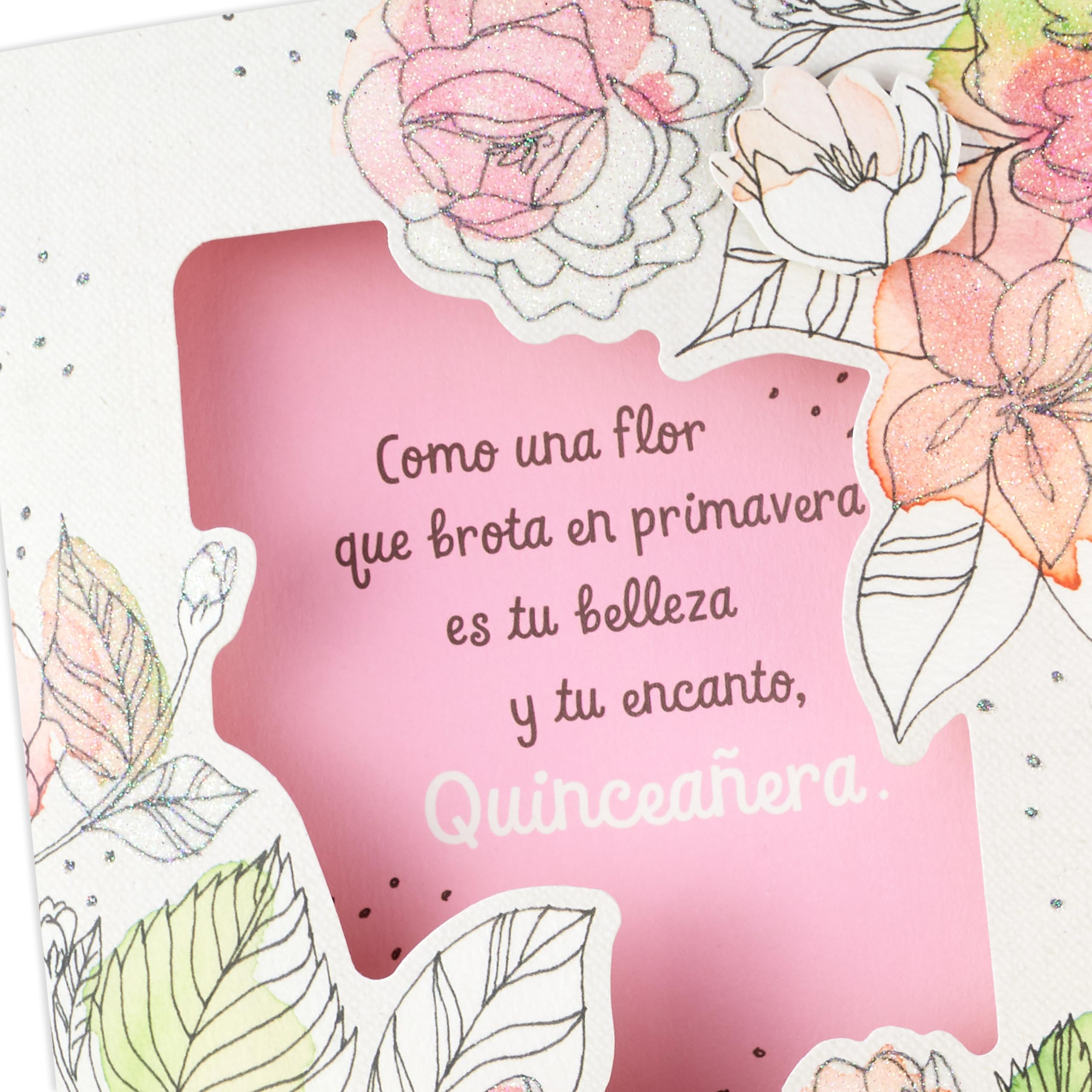 Hallmark Vida Quinceanera Birthday Card (Como una Flor)