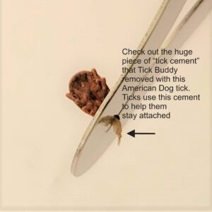 Tick Buddy (1-Pack) Stainless Steel Tick Removal Tool for Dogs Cats Pets and People