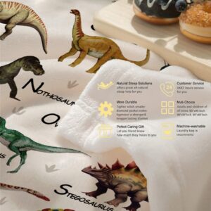 Dinosaurs Blanket Gifts Super Soft Lightweight Flannel Dinosaurs Bed Alphabet Blankets Throw for Kids, Adult, Suitable for Couch, Sofa, Bed, Camping, Travel All Seasons 40"x50" for Kid