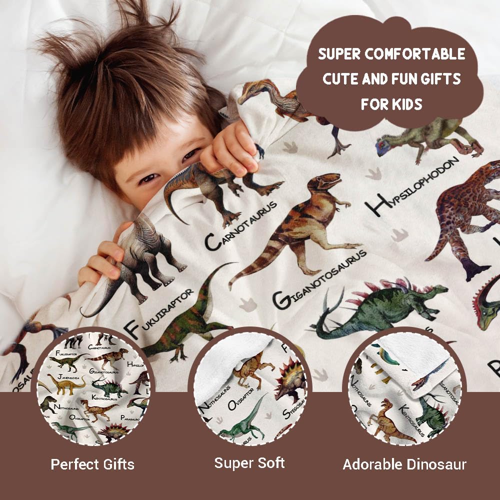 Dinosaurs Blanket Gifts Super Soft Lightweight Flannel Dinosaurs Bed Alphabet Blankets Throw for Kids, Adult, Suitable for Couch, Sofa, Bed, Camping, Travel All Seasons 40"x50" for Kid