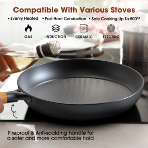 imarku Frying Pan Set - 10 &12inch Pot Set with Removable Handle Honeycomb Cast Iron Skillets, Large Frying Pans Nonstick Dishwasher Safe, Oven Safe Kitchen Pans for Cooking, Christmas Gifts