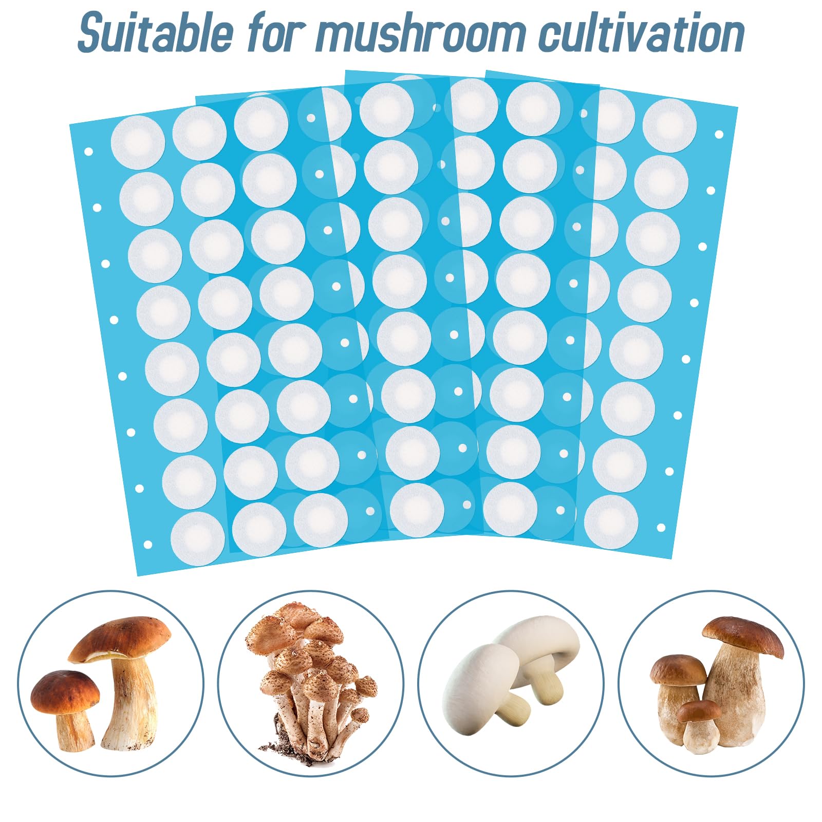 Synthetic Filter Paper Stickers 96 Pcs 20 mm 0.25 µm Filter Disc Mushroom Applied Under Wide Mouth Jar Lid for Mushroom Cultivation