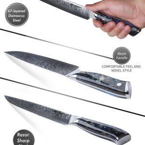 SANMUZUO Carving Knife - 9 inch Slicing Knife- Xuan Series - VG10 Damascus Steel Kitchen Meat Cutting Knife - Resin Handle (Starry Black)