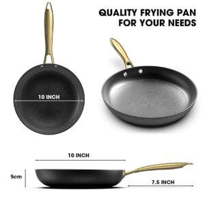 imarku Non stick Frying Pans, Long Lasting 10 Inch Frying Pan, Professional Nonstick Frying Pan Cast Iron Skillet, Stay Cool Handle, Easy Clean Oven Safe Pan, Christmas Gifts for Women/Men