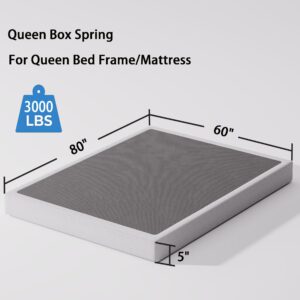 Bedsnus Queen Size Box Spring and Cover Set, 5 Inch Low Profile Metal BoxSpring, Heavy Duty Structure Mattress Foundation, Noise Free, Non-Slip, Easy Assembly