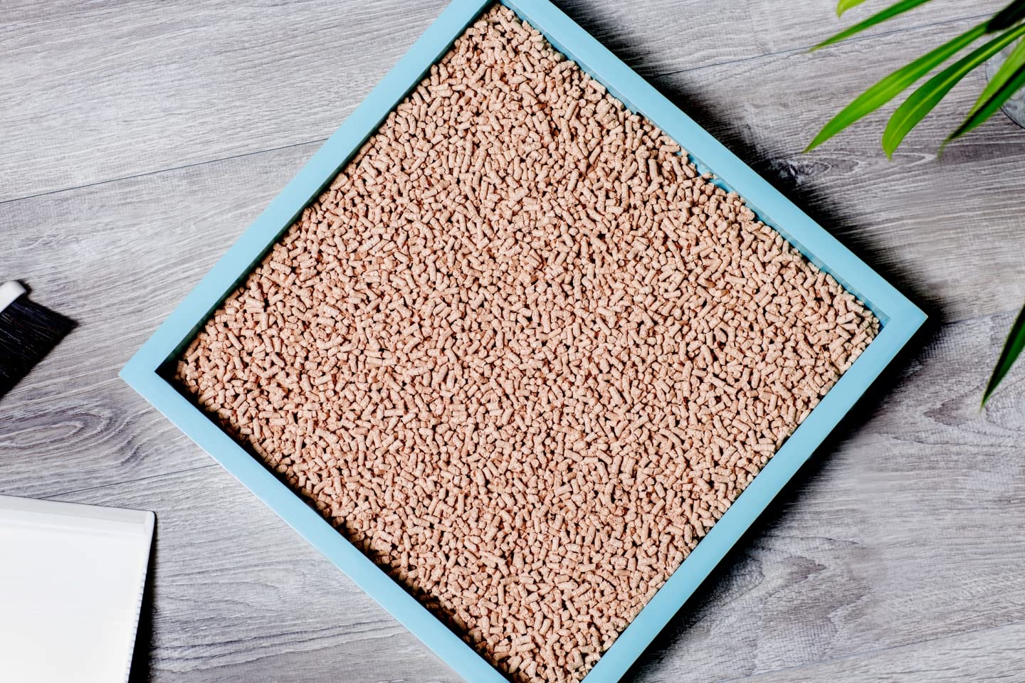 KOCHO Hinoki Wood Cat Litter, Upcycled, Ultra Lightweight, Natural Aroma of Hinoki Japanese Cypress, Gentle Clumping, Dust-Free