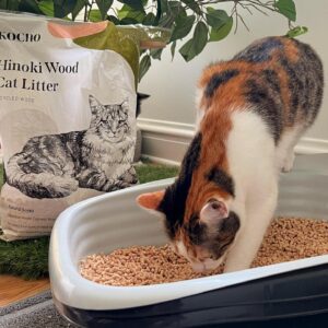 KOCHO Hinoki Wood Cat Litter, Upcycled, Ultra Lightweight, Natural Aroma of Hinoki Japanese Cypress, Gentle Clumping, Dust-Free