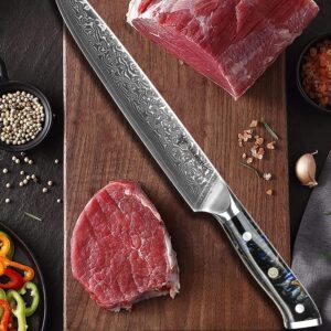 SANMUZUO Carving Knife - 9 inch Slicing Knife- Xuan Series - VG10 Damascus Steel Kitchen Meat Cutting Knife - Resin Handle (Starry Black)