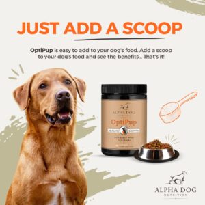 Alpha Dog Nutrition OptiPup All-in-1 Puppy Multivitamin Contains 31 Superfoods Including Probiotics and Prebiotics for Digestive Support, Skin & Immune Health, and Optimum Growth (60 Servings)