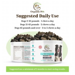 Ultimate Dog PROBIOTIC Chews - Boosts Gut Health and Eases Allergies with PROBIOTICS, POSTBIOTICS, PREBIOTICS (FOS) Inulin - Colostrum - Glutamine - Mushrooms -Pumpkin-QUERCETIN and a SUPERFOOD Blend