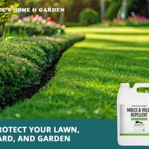 Mole & Vole Repellent for Lawns - Organic Castor Oil (128oz - 1 Gallon) - Kate's Home & Garden. Pet Safe & Non-Toxic. Pure Organic Castor Oil to Repel Moles, Voles, Rodents & Gophers Outdoor