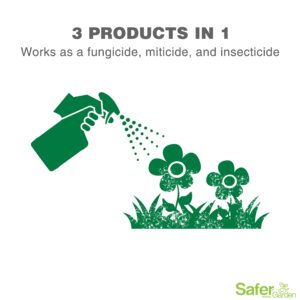 Safer Brand Garden SG5180 Insect Killing Fungicide, Miticide, and Insecticide Neem Oil Spray – Kills Insects & Mites – Controls & Prevents Fungal Disease – OMRI Listed for Organic Use – 24 oz