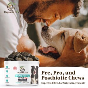 Ultimate Dog PROBIOTIC Chews - Boosts Gut Health and Eases Allergies with PROBIOTICS, POSTBIOTICS, PREBIOTICS (FOS) Inulin - Colostrum - Glutamine - Mushrooms -Pumpkin-QUERCETIN and a SUPERFOOD Blend