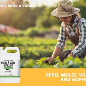 Mole & Vole Repellent for Lawns - Organic Castor Oil (128oz - 1 Gallon) - Kate's Home & Garden. Pet Safe & Non-Toxic. Pure Organic Castor Oil to Repel Moles, Voles, Rodents & Gophers Outdoor