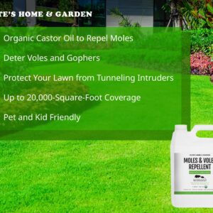 Mole & Vole Repellent for Lawns - Organic Castor Oil (128oz - 1 Gallon) - Kate's Home & Garden. Pet Safe & Non-Toxic. Pure Organic Castor Oil to Repel Moles, Voles, Rodents & Gophers Outdoor