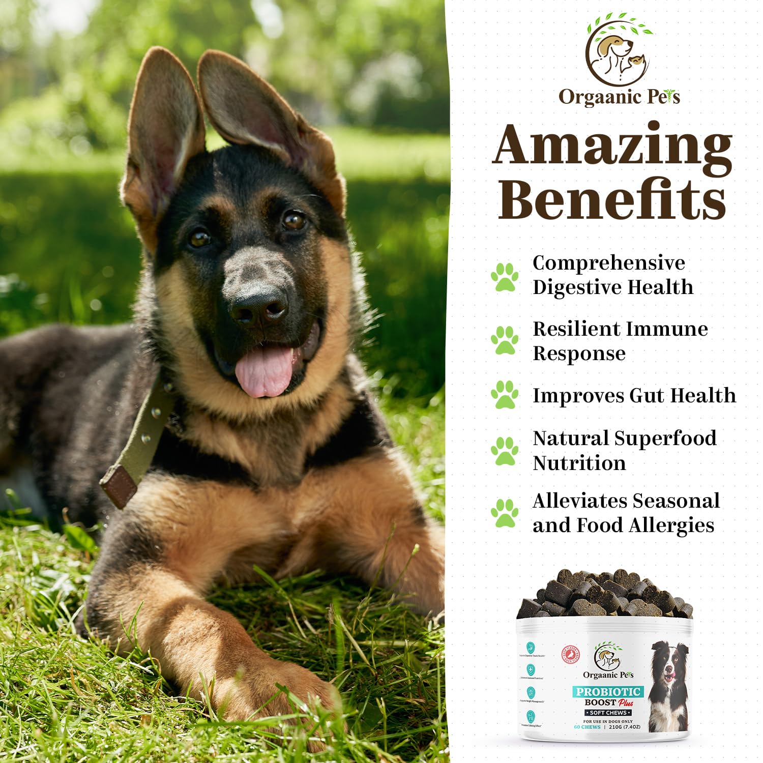 Ultimate Dog PROBIOTIC Chews - Boosts Gut Health and Eases Allergies with PROBIOTICS, POSTBIOTICS, PREBIOTICS (FOS) Inulin - Colostrum - Glutamine - Mushrooms -Pumpkin-QUERCETIN and a SUPERFOOD Blend