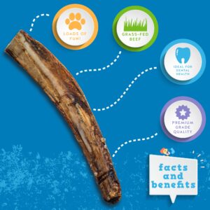 Jack&Pup 6" Beef Rib Bones for Dogs | Natural Dog Bones for Small Dogs | Flavorful and Fun Dog Chew Bones (13 Pack)