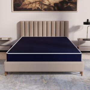 wayton, 5-inch medium firm water resistance nylon vinyl foam mattress, noiseless, soft cloud feeling, body heat reflection, good for hospital and camp, twin xl, blue