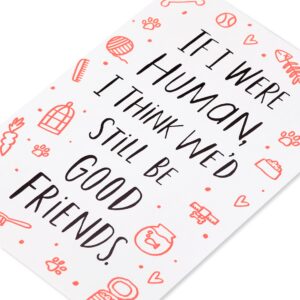 American Greetings Funny Birthday Card from Pet (We'd Still Be Good Friends)