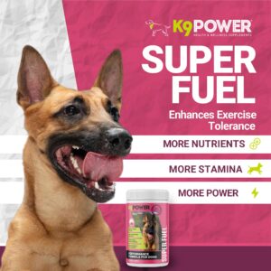 K9 Power Super Fuel for Dogs 1lb - Boosts Energy Levels Supports Muscle Growth & Enhances Joint Health.