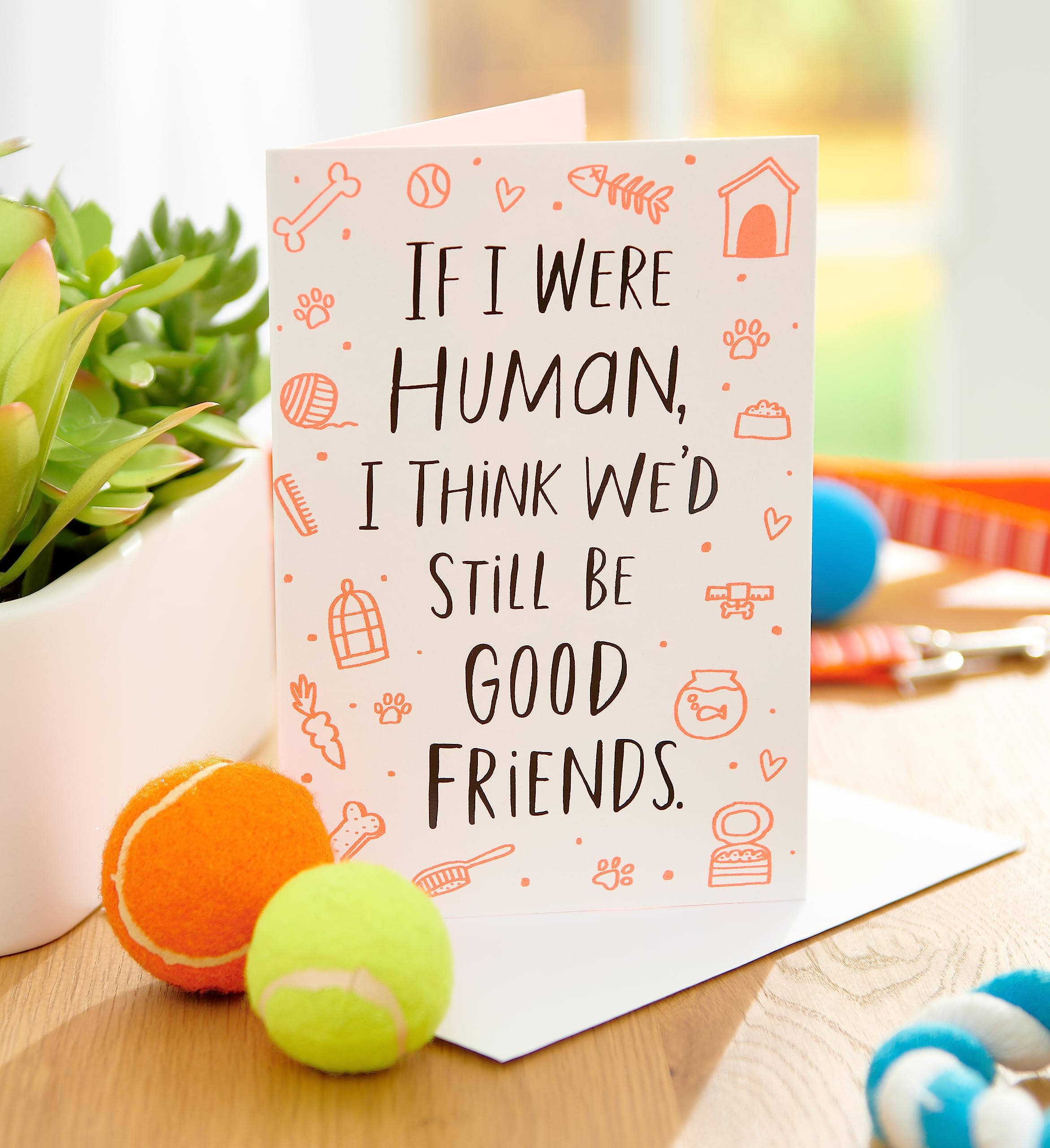 American Greetings Funny Birthday Card from Pet (We'd Still Be Good Friends)